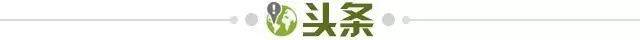 pg电子技巧-【早报】曾被全村嘲讽的全村希望，成了全村的保障！